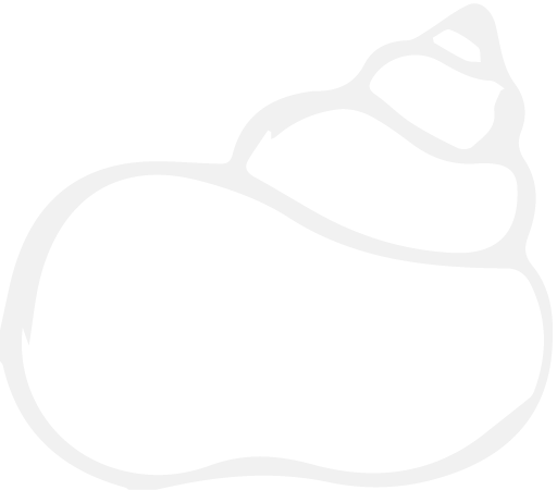 Icône blanche coquillage rituel Côte d'Opale