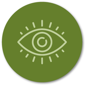 Cercle vert contenant l'icône d'un oeil